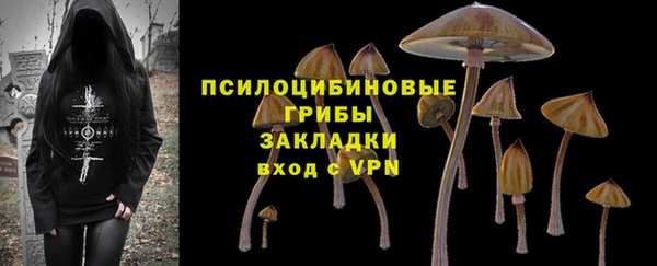 стаф Армянск