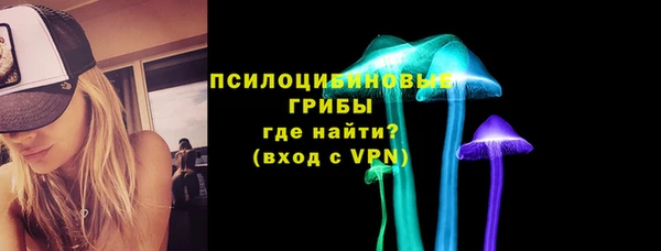 крисы Россошь