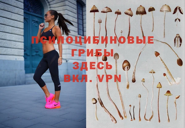 стаф Армянск